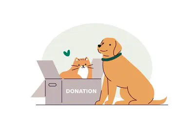 Image don pour les animaux